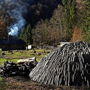 „Bocșele” de la Strâmbu-Băiuț – tradiție și continuitate