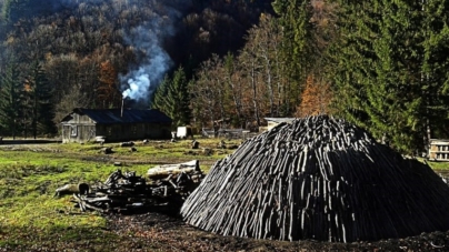 „Bocșele” de la Strâmbu-Băiuț – tradiție și continuitate