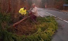 Ce probleme au cauzat în Maramureș fenomenele meteorologice din această după-amiază