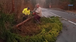 Ce probleme au cauzat în Maramureș fenomenele meteorologice din această după-amiază