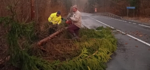 Ce probleme au cauzat în Maramureș fenomenele meteorologice din această după-amiază