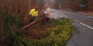 Ce probleme au cauzat în Maramureș fenomenele meteorologice din această după-amiază