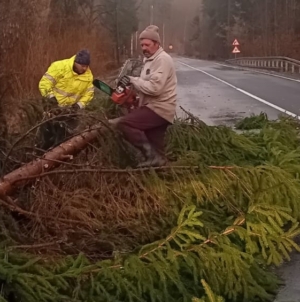 Ce probleme au cauzat în Maramureș fenomenele meteorologice din această după-amiază