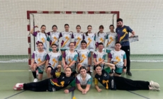 Fabrica de Campioni produce performanțe – trei calificări la turnee semifinale