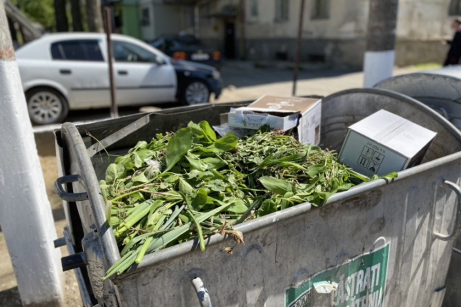 Colectare de deșeuri vegetale în Sighet – între 10 și 14 Martie